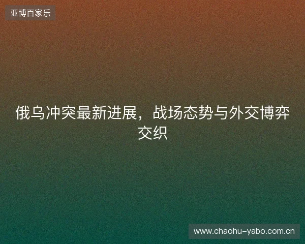 俄乌冲突最新进展，战场态势与外交博弈交织