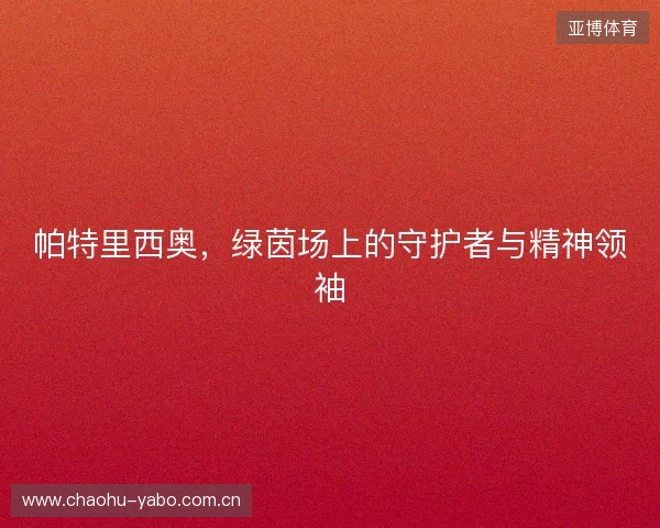 帕特里西奥，绿茵场上的守护者与精神领袖